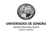 Universidad de Sonora